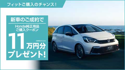 フィットクーポンプレゼント