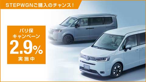 STEPWGNバリ保2.9%